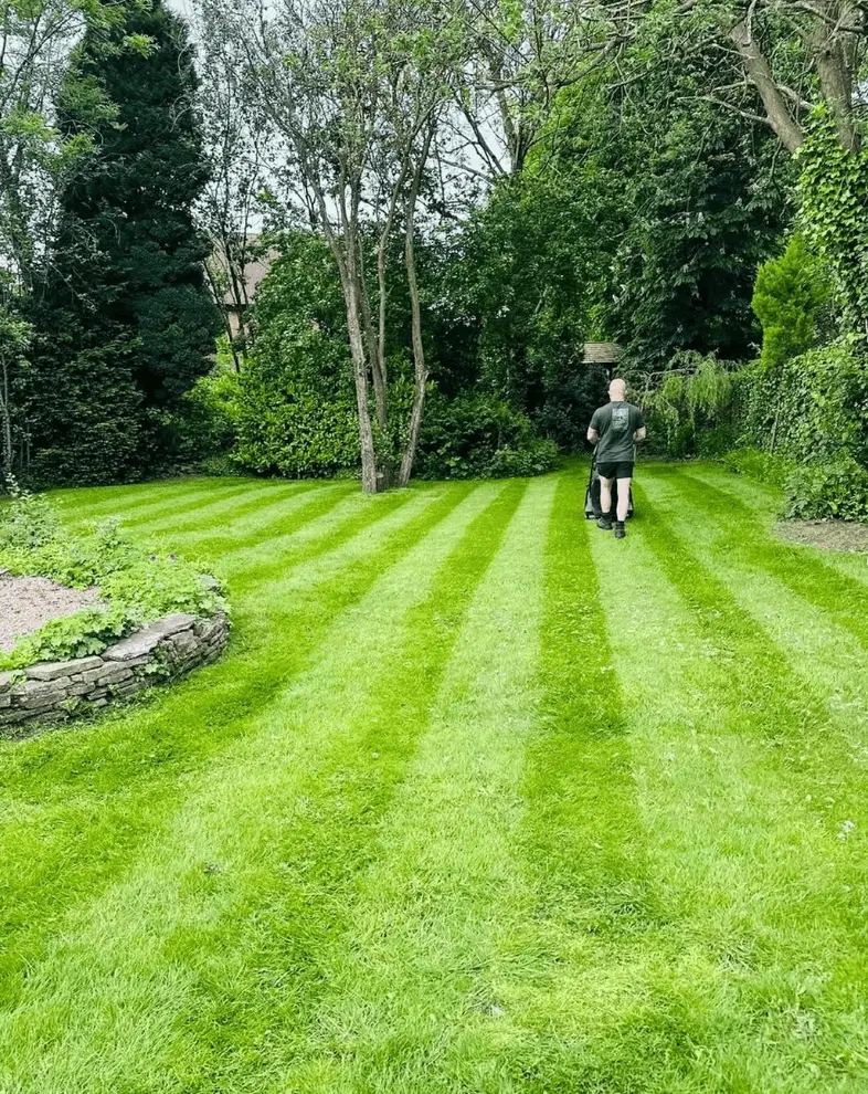 grass-maintenance-in-stockport
